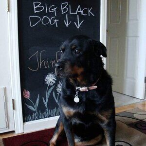 C&B Office Blackboard Sticker Self-Adhesive Film 45 cm x 200 cm & 5-Pc Chalk Set